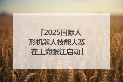 2025国际人形机器人技能大赛在上海张江启动