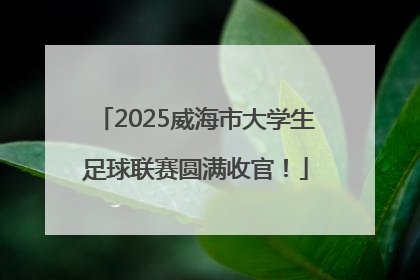 2025威海市大学生足球联赛圆满收官！