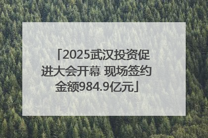 2025武汉投资促进大会开幕 现场签约金额984.9亿元