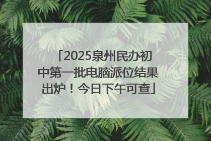 2025泉州民办初中第一批电脑派位结果出炉！今日下午可查