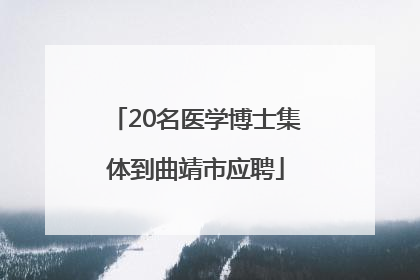 20名医学博士集体到曲靖市应聘