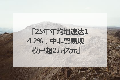 25年年均增速达14.2%，中非贸易规模已超2万亿元
