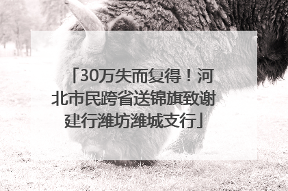 30万失而复得！河北市民跨省送锦旗致谢建行潍坊潍城支行
