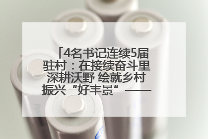 4名书记连续5届驻村：在接续奋斗里深耕沃野 绘就乡村振兴“好丰景”——浦发银行南京分行助力脱贫攻坚、帮促乡村振兴记事（二）