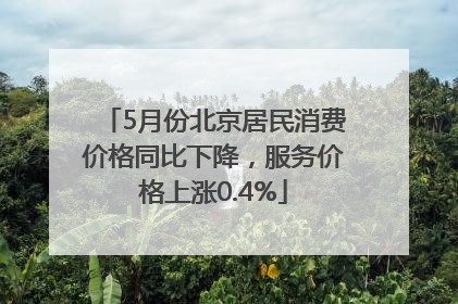 5月份北京居民消费价格同比下降，服务价格上涨0.4%