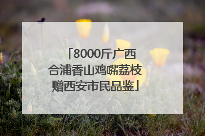 8000斤广西合浦香山鸡嘴荔枝赠西安市民品鉴