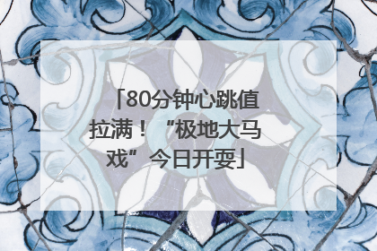 80分钟心跳值拉满！“极地大马戏”今日开耍