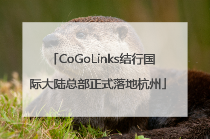 CoGoLinks结行国际大陆总部正式落地杭州