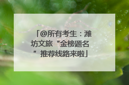 @所有考生：潍坊文旅“金榜题名”推荐线路来啦