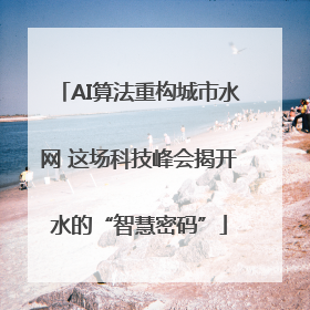 AI算法重构城市水网 这场科技峰会揭开水的“智慧密码”