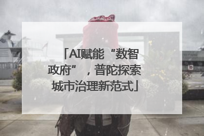 AI赋能“数智政府”，普陀探索城市治理新范式