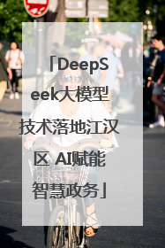 DeepSeek大模型技术落地江汉区 AI赋能智慧政务